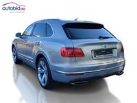 Vaade tagant vasakult