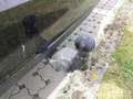 View of trailer tow-bar hitch
