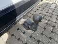 View of trailer tow-bar hitch