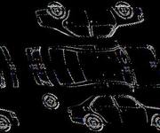 Podrobna fotografija