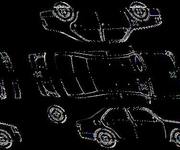 Podrobna fotografija