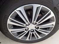 Szczegółowe zdjęcie