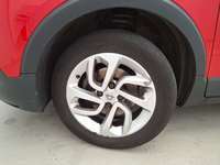 Szczegółowe zdjęcie