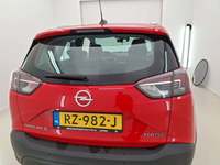 Szczegółowe zdjęcie