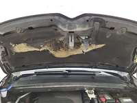 Детаљна фотографија