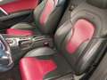 Ansicht Sitze vorne