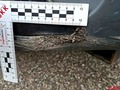 Weitere Bilder Karosserie