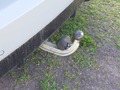 View of trailer tow-bar hitch
