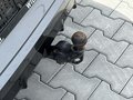 View of trailer tow-bar hitch