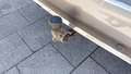 View of trailer tow-bar hitch