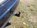 View of trailer tow-bar hitch