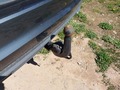 View of trailer tow-bar hitch