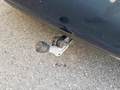 View of trailer tow-bar hitch