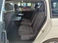 Vista del asiento trasero