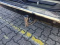 View of trailer tow-bar hitch