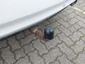 View of trailer tow-bar hitch