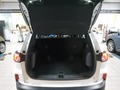 Meer foto's carrosserie