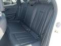 Vista del asiento trasero