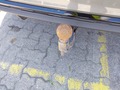 View of trailer tow-bar hitch