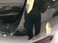Meer foto's carrosserie