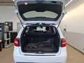View of boot / luggage space