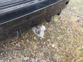 View of trailer tow-bar hitch