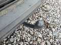 View of trailer tow-bar hitch