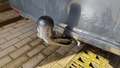 View of trailer tow-bar hitch