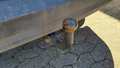 View of trailer tow-bar hitch