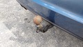 View of trailer tow-bar hitch