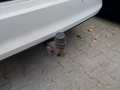 View of trailer tow-bar hitch