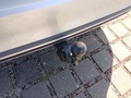 View of trailer tow-bar hitch
