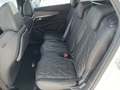 Vista del asiento trasero