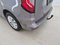 Szczegółowe zdjęcie