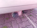 View of trailer tow-bar hitch