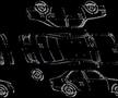 Detalizēta fotogrāfija