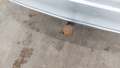 View of trailer tow-bar hitch