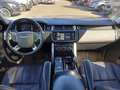 View of dashboard
