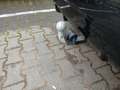 View of trailer tow-bar hitch