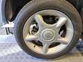 More body photos