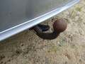 View of trailer tow-bar hitch
