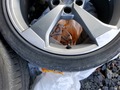 Detailní foto