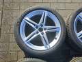 Detailní foto