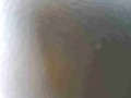 Detailní foto