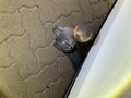 Detailné foto