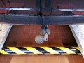 Detailní foto