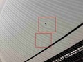 Detailné foto