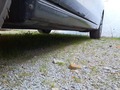 Detailní foto