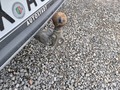 Detailné foto