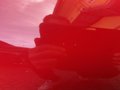Meer foto's carrosserie